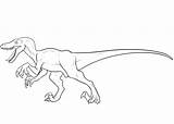 Coloring Pages Raptor Velociraptor Popular Kids sketch template