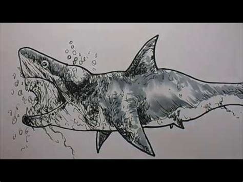 draw  zombie shark