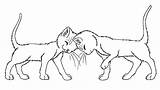 Warrior Cat Coloring Pages Cats Lineart Wildpathofshadowclan Kit Kits Warriors Deviantart Erin Hunter Base Print Mates Template Body Popular Wings sketch template