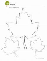 Tracing Leaves Worksheets Fall Leaf Traceable Worksheet Preschool Autumn Kindergarten Pages Letter Tracer Trace Crafts Printable Activities Coloring Kids Templates sketch template
