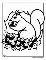Squirrel Coloring Fall Pages Thanksgiving Printable Kids Woojr Activity Activities Autumn sketch template