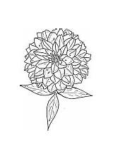 Outlines Flowers Unknown Posted Am sketch template