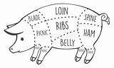 Schweinefleisch Illustrationen Vektoren sketch template