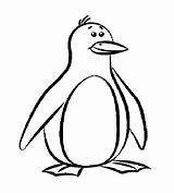 Penguin Coloring Printable Penguins Pages Outline Drawing Template Cartoon Clipart Print Templates Colouring Pittsburgh Cute Kids Funny Animal Color Drawings sketch template