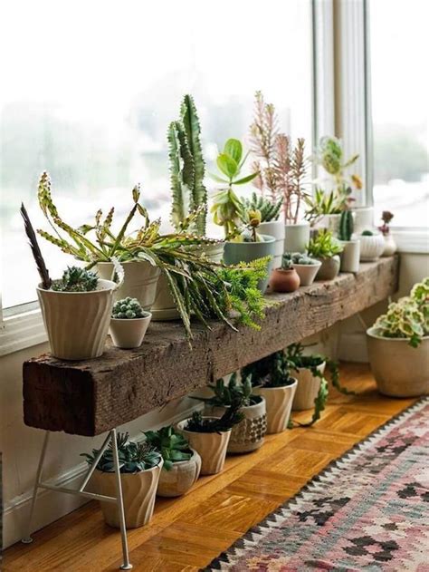 stunning ideas  indoor house plant  architecture designs