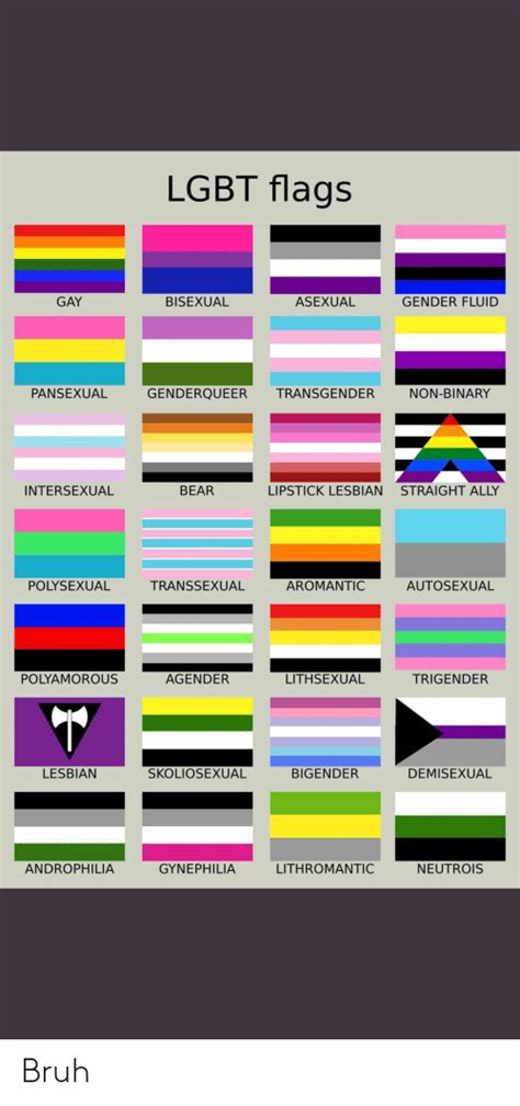 lgbt flags gay bisexual asexual gender fluid pansexual genderqueer