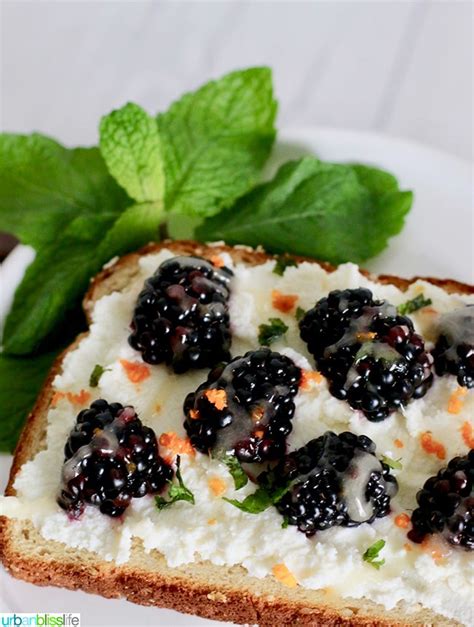 blackberry breakfast recipes conservamom