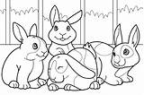 Pages Coloring Cottontail Peter Getcolorings Bunny sketch template