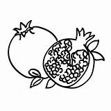 Pomegranate Drawing Sliced Stock Tree Drawn Whole Hand Fruits Vegetables Coloring Book Seeds Getdrawings Illustration Vector Depositphotos sketch template
