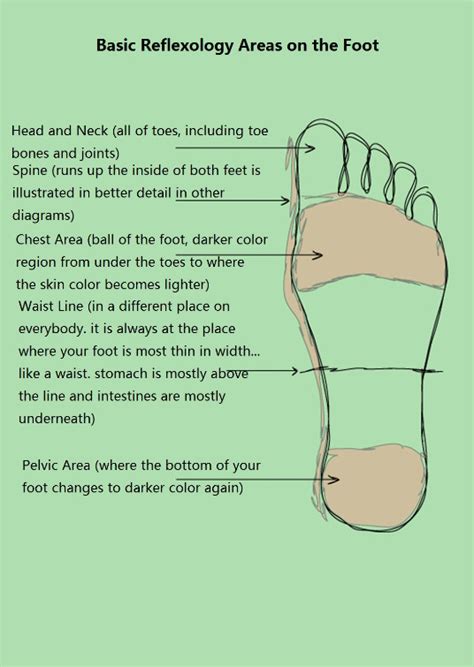 Reflexology Foot Chart New Health Guide