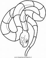 Serpente Schlangen Snake Malvorlage Serpenti Vipera Corallo Stampare Beste Bull Reptilien Precedenti Kategorien sketch template