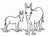 Donkey Coloring Pages Baby Printable Drawing Head Color Print Printables Getcolorings Getdrawings Samanthasbell sketch template