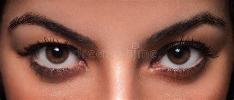 beautiful female eyes stock image image  eyes eyelashes