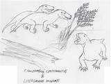 Lystrosaurus Cynognathus sketch template