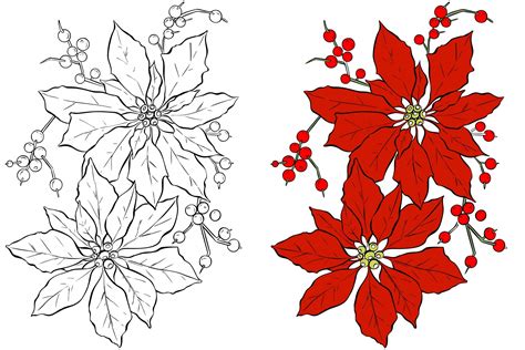 christmas flowers drawing  paintingvalleycom explore collection