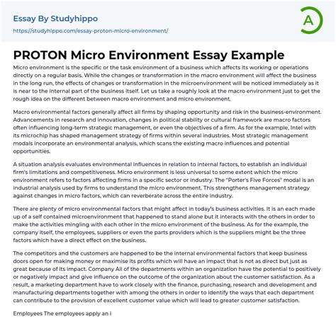 proton micro environment essay  studyhippocom