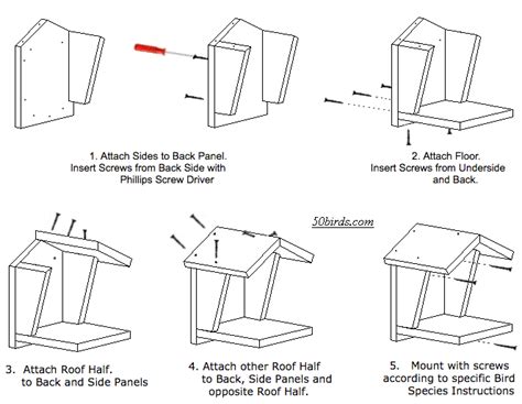 instructions    build  bird house