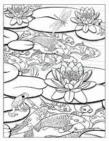 Coloring Pages Pond Koi Fish Waterfall Drawing Colouring Ecosystem Ponds Adult Book Printable Color Getdrawings Getcolorings Lotus Flower Jinni Advanced sketch template