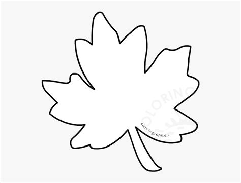 leaf outline autumn coloring page maple clipart transparent fall