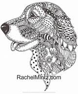 Dog Relaxing Ornamental Breeds sketch template