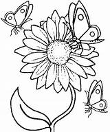 Sunflower Butterfly Coloring Pages Printable Flowers Kids Categories sketch template