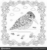 Kingfisher Zentangle Frame Antistress Ukr sketch template