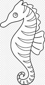 Seahorse sketch template
