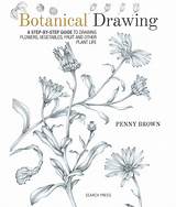 Botany Pencils Graphite Nokomis Penny sketch template