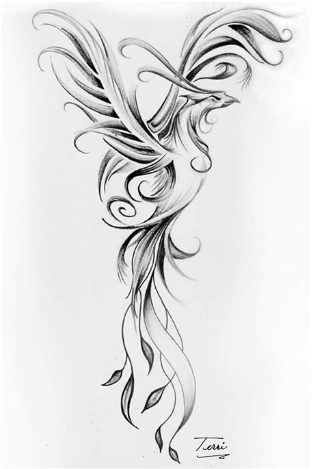 phoenix black  white drawing  terri meredith