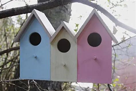 amazoncouk bird houses  garden garden outdoors   wooden bird houses bird house