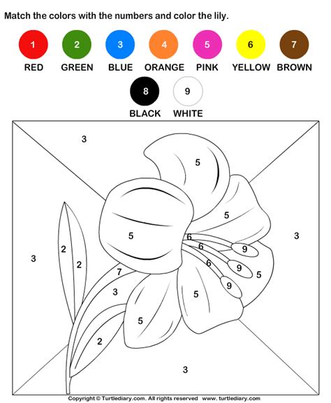 color  matching  numbers turtle diary worksheet