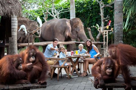 book bali zoo ticket    special discount  cheap  zoo