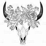 Skull Bull Drawing Cow Flowers Vector Drawings Tattoo Bison Skulls Flower Tattoos Sketch Western Istockphoto Coloring Draw Taurus Adult Illustration sketch template