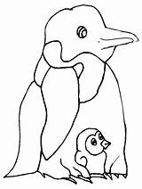 Coloring Pages Penguins Printable Penguin Animals Cliparts Chick Chicks Print Clip Coloringpagebook Birthday Library Advertisement Book Kids Dad sketch template