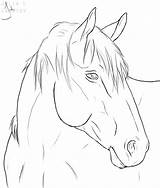 Horse Drawing Drawings Line Coloring Deviantart Pages Lineart Horses Head Cheval Pencil Dessin Animal Sketch Digital Draw Tete Sheets Easy sketch template