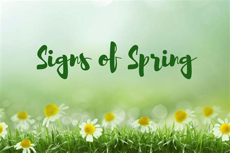 signs  spring  nashville