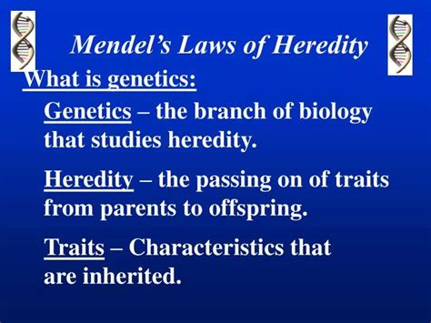 Ppt Mendels Laws Of Heredity Powerpoint Presentation Free Download