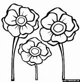 Poppy Template Poppies Coloring Colouring Printable Pages Remembrance Flower Anzac Drawing Templates Color Kids Thecolor Clip Clipart Choose Board Getdrawings sketch template