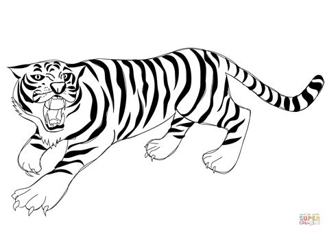 roaring tiger coloring page  printable coloring pages