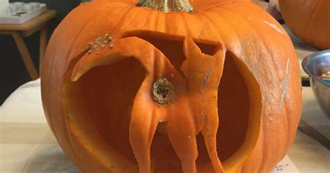 Halloween Pumpkin Ideas Guy Carves Cat S Butt Into His