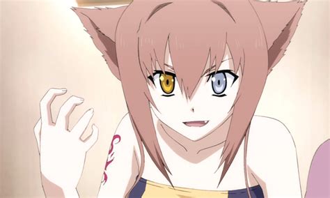 gambar anime manusia kucing  jadi korban meme  gambar kucing