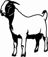 Goat Silhouette Boer Clipart Goats Clip Market Nubian Decals Farm Drawing Drawings Show Head Meat Logo Draw Farming Vinyl Sketches sketch template