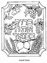 Coloring Kids Sukkot Pages Jewish Tree Sukkah Colouring Color Sheets Fig Deuteronomy Seven Succos Books Hebrew Species Printable Crafts Adults sketch template