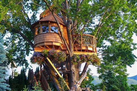 livable tree houses  sale amazing treehouses  ll   call home loveproperty