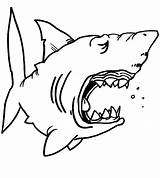 Shark Coloring Pages Kids Sharks Drawing Template Jaws Great Printable Color Funny Print Outline Fin Hungry Children Cartoon Hammerhead Clipart sketch template
