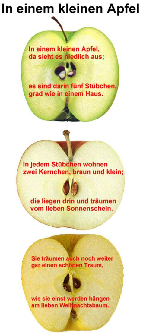 einem kleinen apfel medienwerkstatt wissen    medienwerkstatt