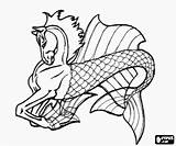 Hippocampus Mythological Coloring Pages Beings Being Pegasus Horse sketch template
