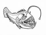Fish Angler Coloring Pages Teeth Sharp Drawing Anglerfish Scary Color Deep Drawings Sea Tattoo Fishing Ocean Monster Sheets Sheet Eel sketch template