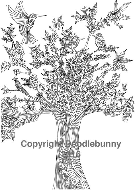 adult colouring page digital birds   tree  etsy