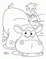 Hippo Coloring Pages Cartoon Hippopotamus Kids Colouringpage Hippos Color Printable Colouring Popular Library Clipart Coloringhome sketch template